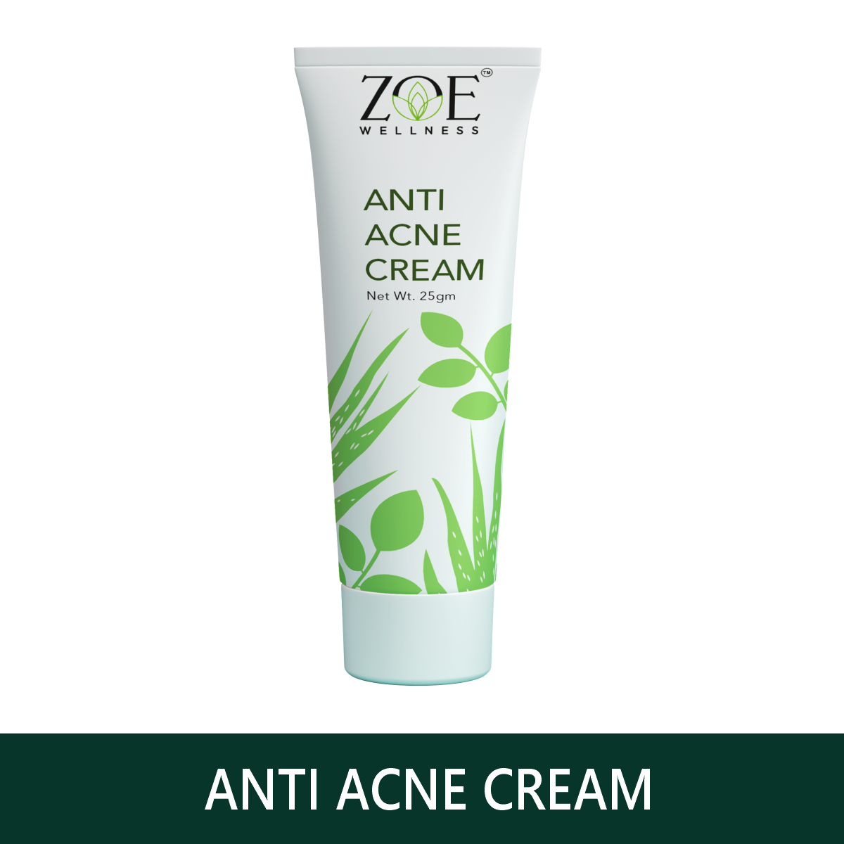 ANTI ACNE CREAM (25GM)
